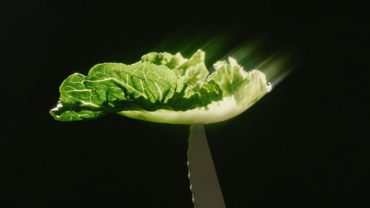 1日で30種類の植物を食べる方法