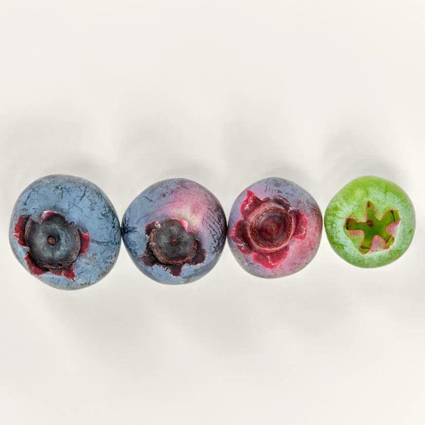 本当に必要？グルテンフリー食品が役立つ人・そうでない人