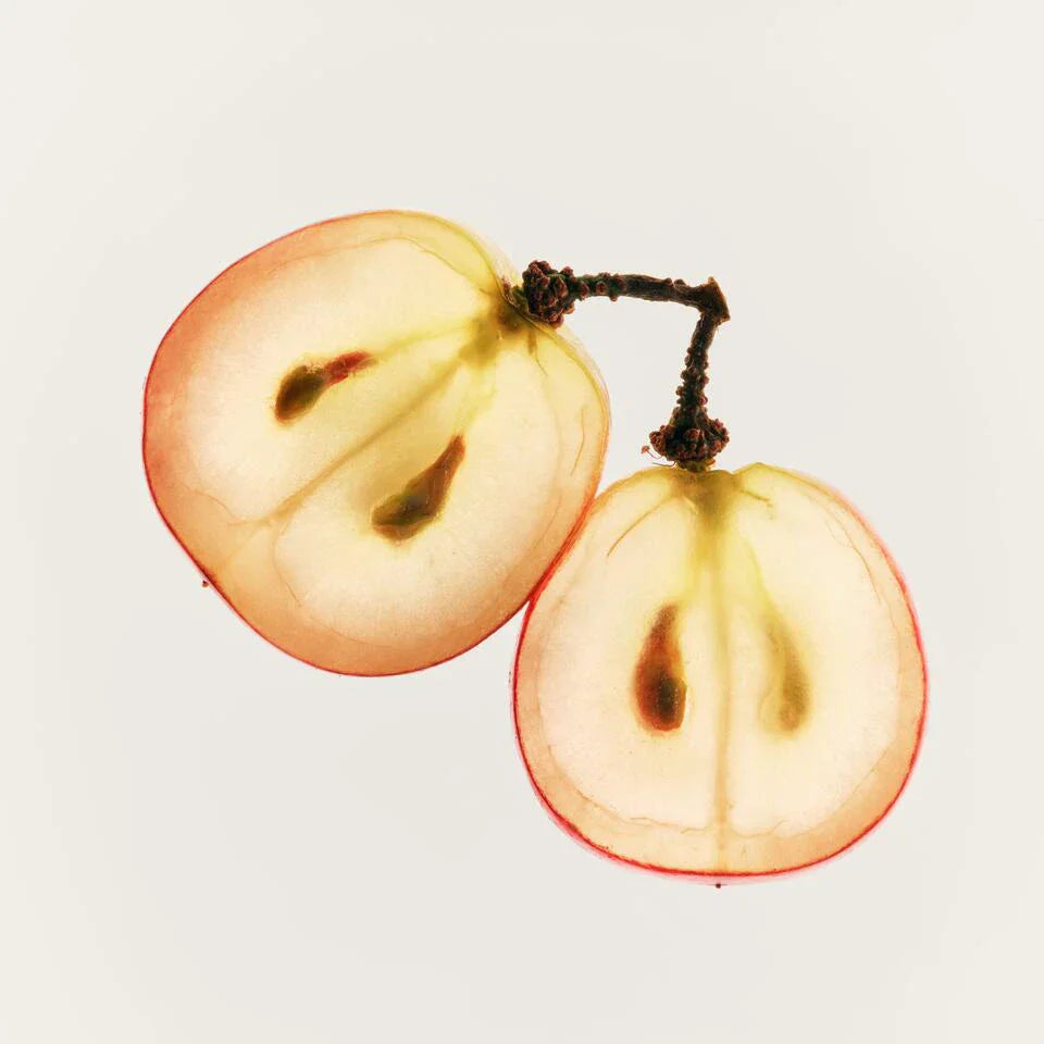 ブドウ種子エキス（OPC）の抗酸化パワーとは？