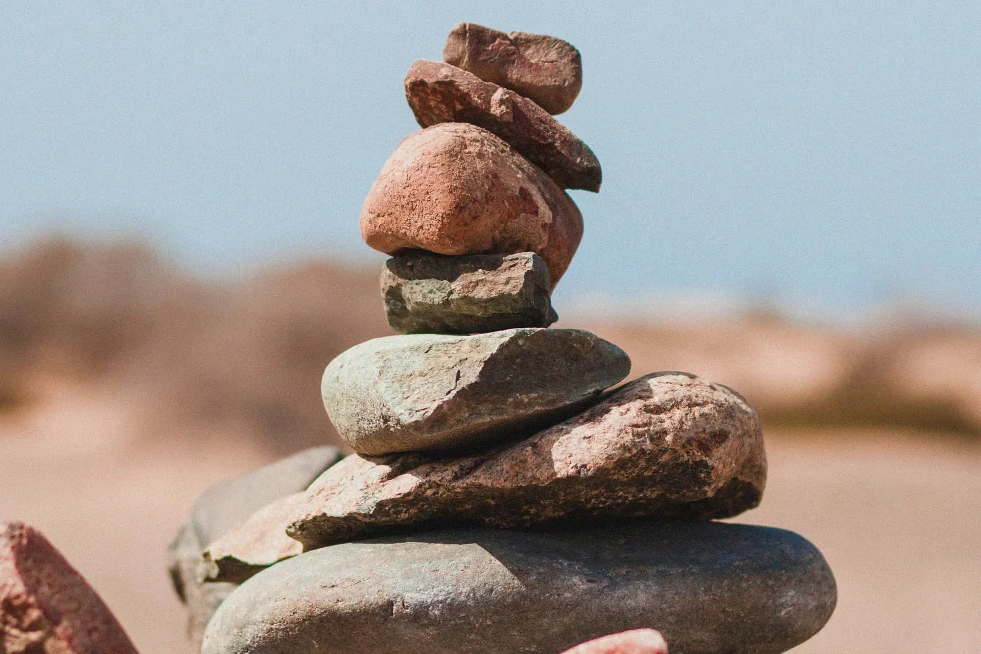 バランスの取れた食事とは？