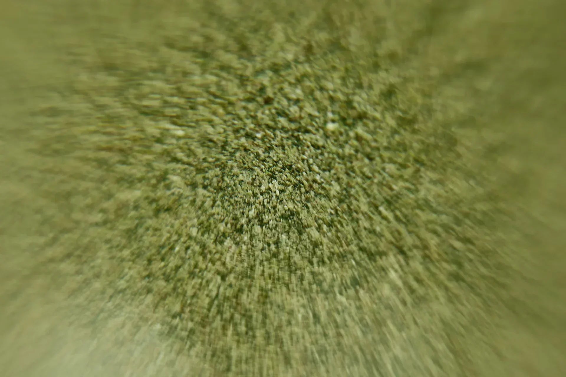 ダイエットに疲れた人へ　〜ストレスのない食事改善の始め方〜