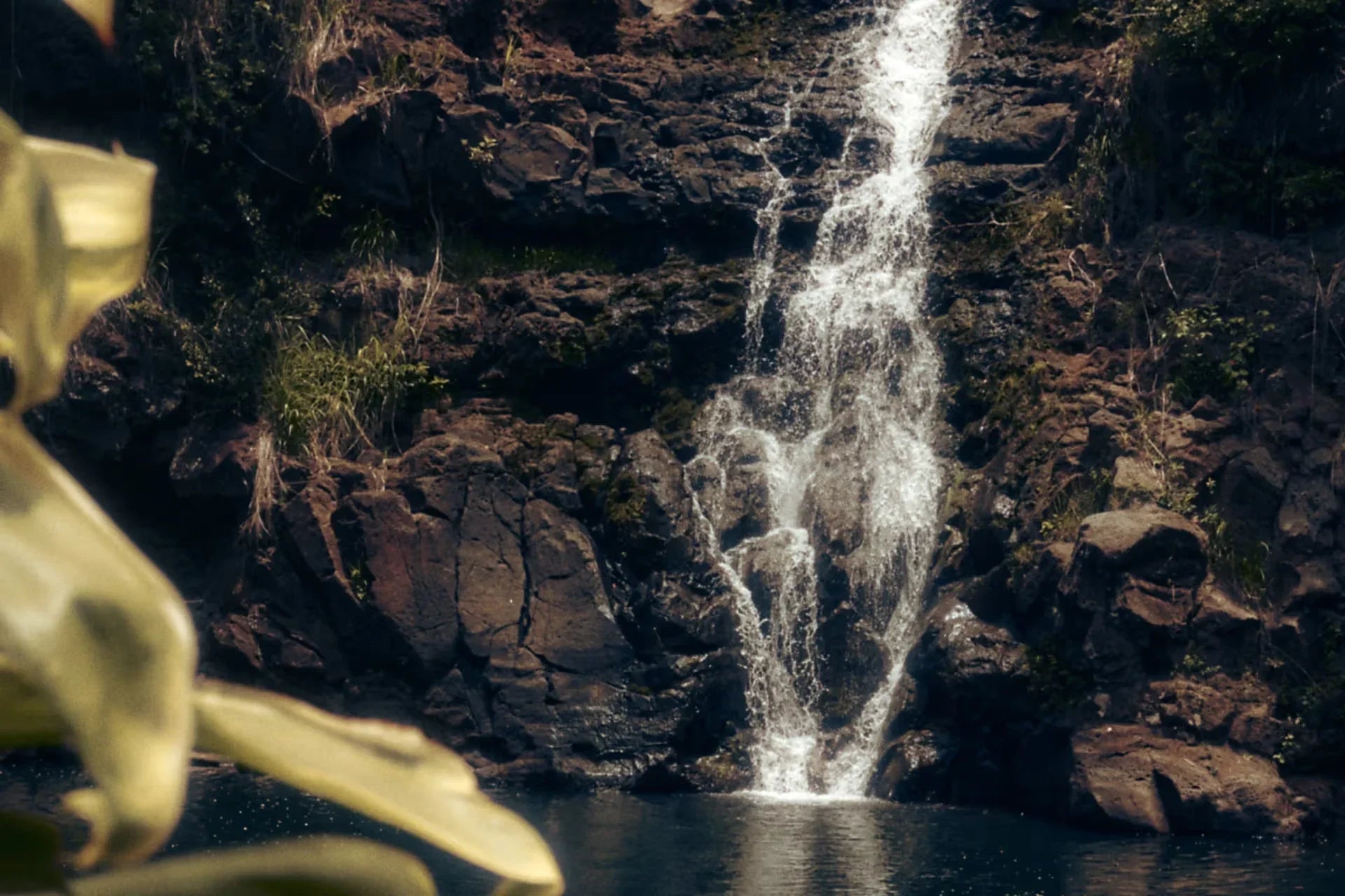 マクロ栄養素とは？その働きとバランスの取り方