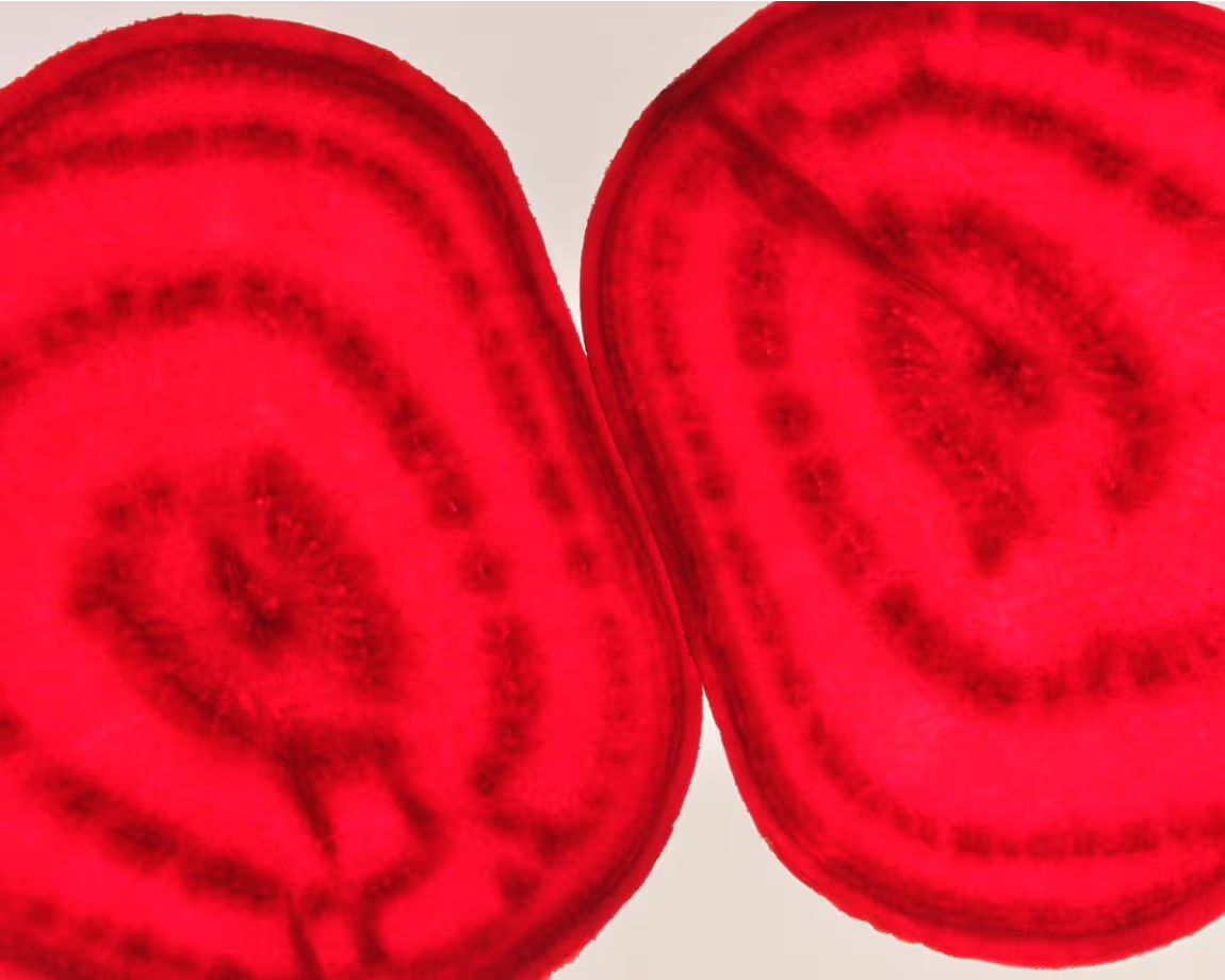 ホルモンバランスを整えるミクロ栄養素