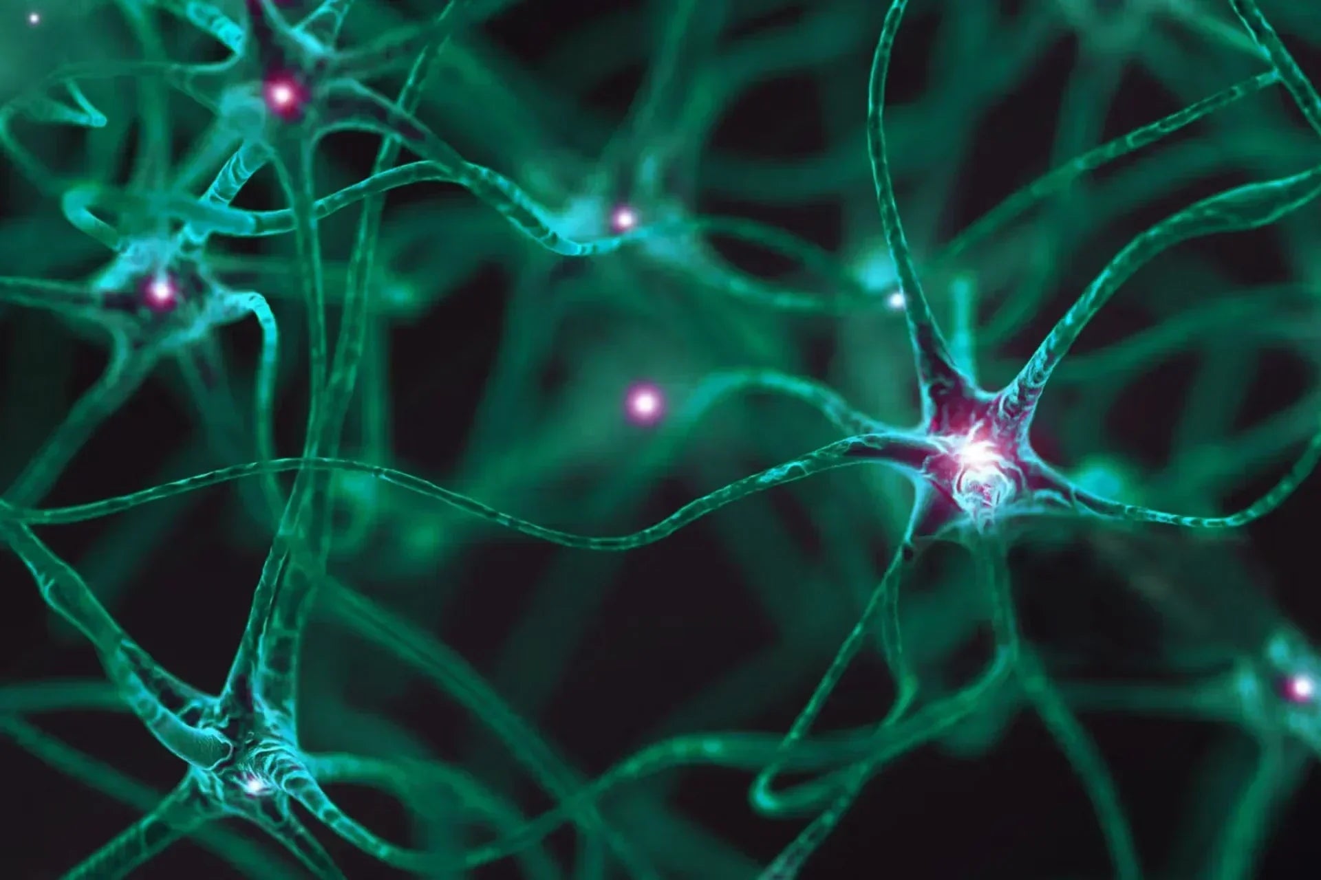 神経細胞と情報伝達のしくみ