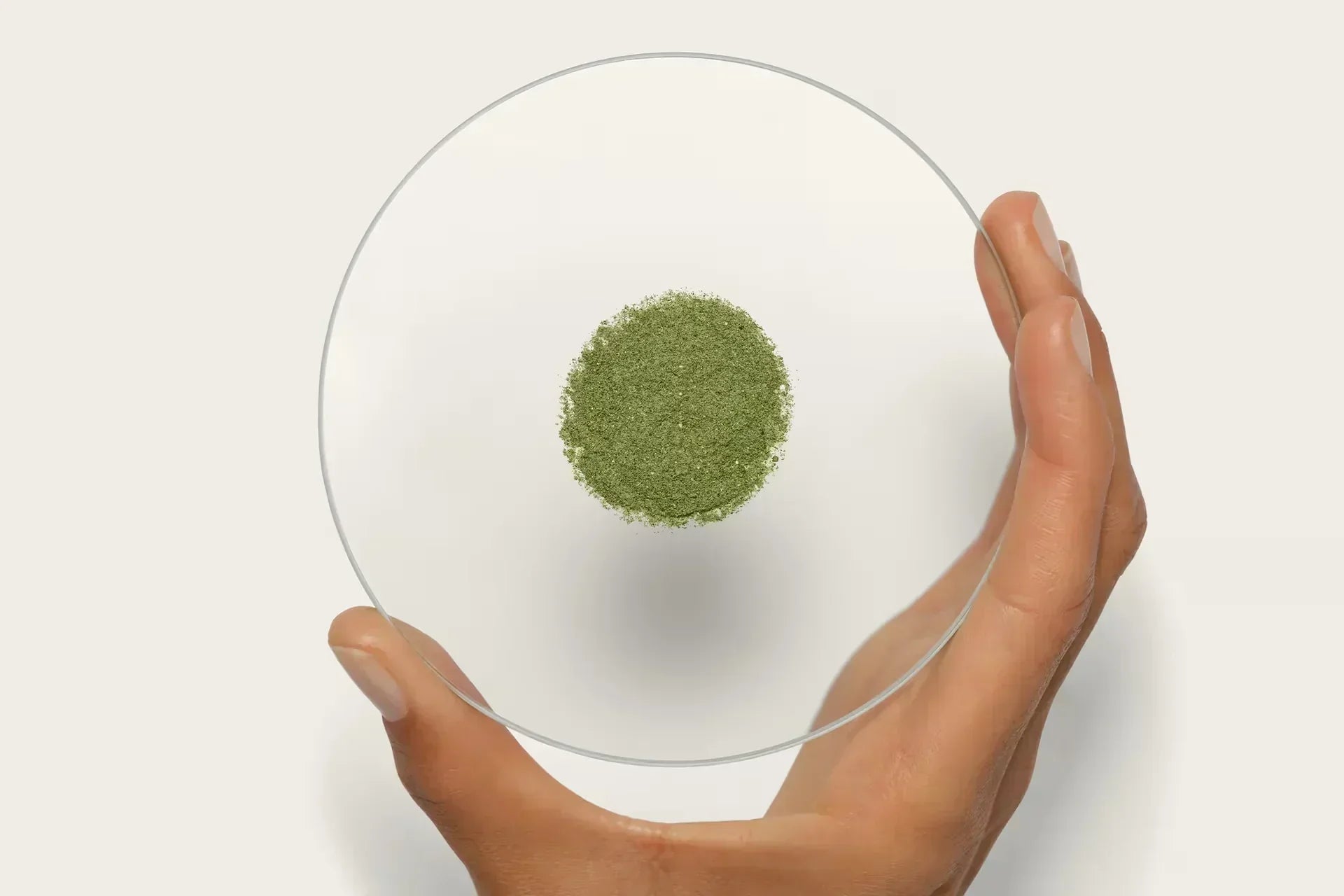 栄養を最大限に活かす“食べ合わせ”ガイド:栄養シナジーの基本