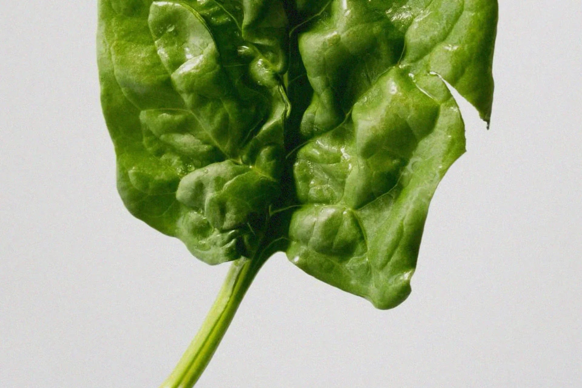 生で食べる？ローフードの魅力と注意点