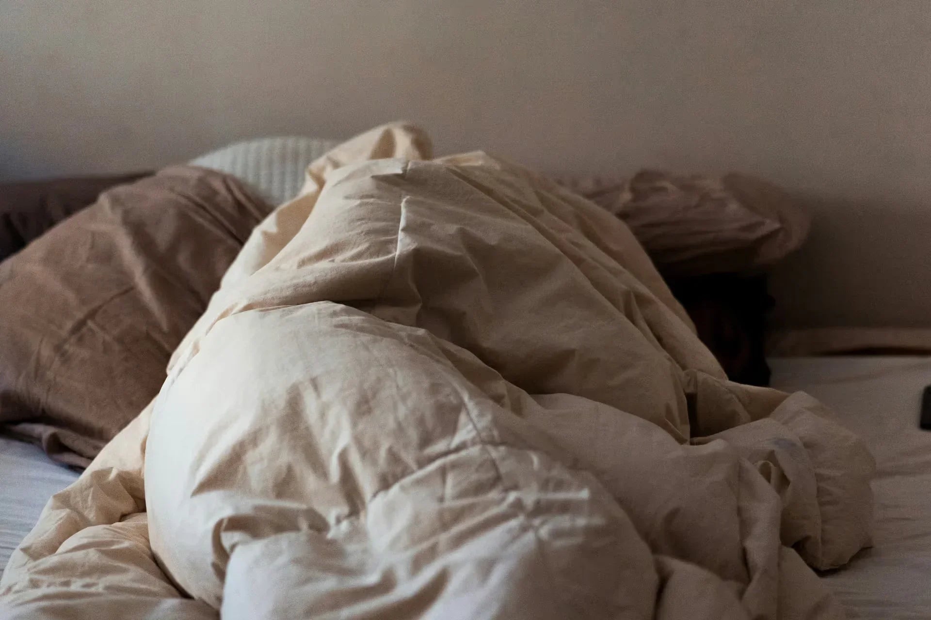 睡眠不足にどう対処する？健康への影響と改善のコツ