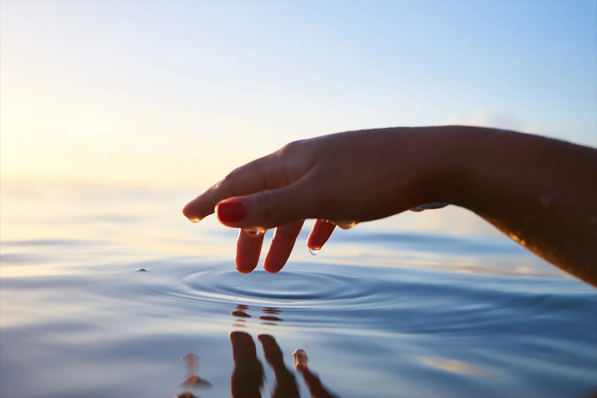 水が生命に欠かせない理由とは？