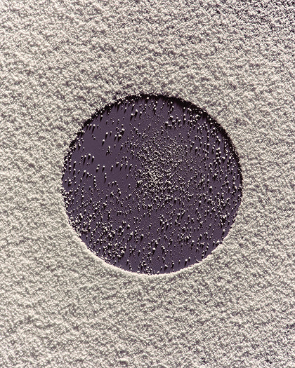 MAGTEIN® マグネシウムL-スレオネート